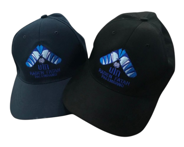Topi